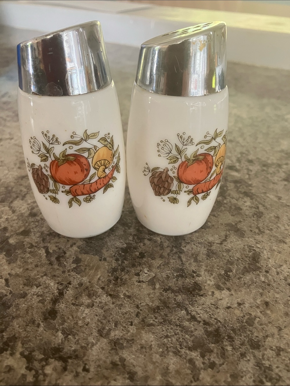 Van Pak White Ceramic Harvest Salt and Pepper Shaker Set